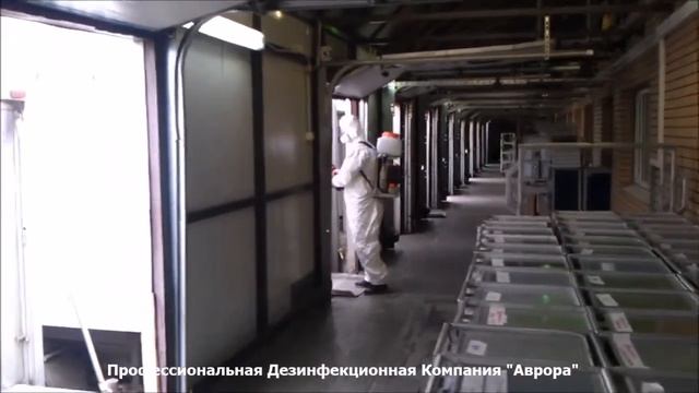 Дезинфекция автотранспорта смотреть онлайн