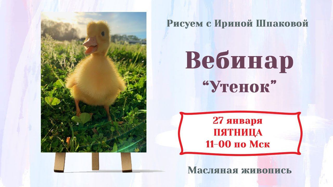 Вебинар "Утенок" смотреть онлайн