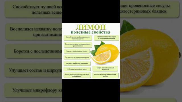 Лимон - полезные свойства #лимон #полезныесоветы #интересныефакты #полезно #польза #долголетие смотреть онлайн