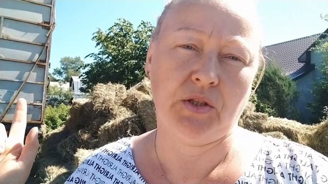 Такое сено дорогое!!!// Транспорт для Лизы// Полив для клюквы без хлопот смотреть онлайн