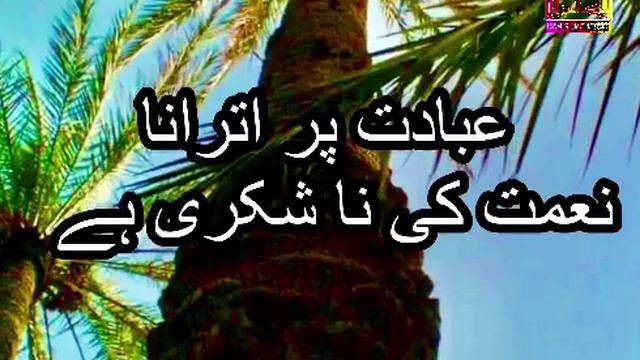 Guftagu II Ibaadat Per Ithraana Nehmat ki Na Shukri Hay II смотреть онлайн