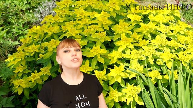 Когда сеять СОЛНЫШКИ в своем ЦВЕТНИКЕ ??? смотреть онлайн