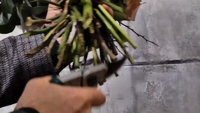 Благовещенский флорист рассказал, какой букет понравится каждой женщине смотреть онлайн