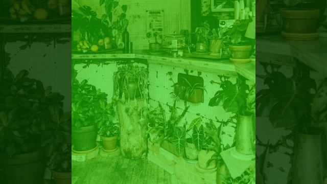 Мечты (Латте) смотреть онлайн