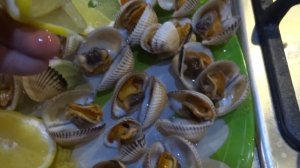 Анапа 5 января 2019 море ракушки рецепт приготовления сКафарка