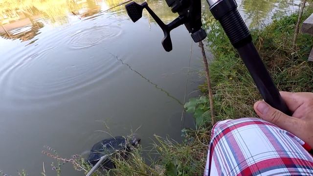 Ловим Карпа! Хитрая Приманка! Отличный Клёв! смотреть онлайн