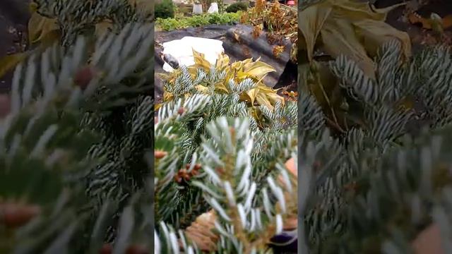 моя усадьба часть 2- дышим и лечимся смотреть онлайн