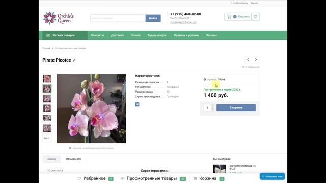 ? КУПИТЬ ОРХИДЕЮ. В интернет-магазине продажа орхидей из Азии, Голландии, и комнатные растения. смотреть онлайн