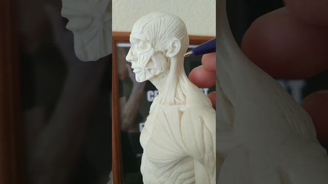 Гкс.Мышцы шеи. Болит голова. смотреть онлайн