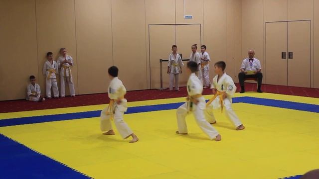 ? Чемпионат и Первенство Мира по всестилевому каратэ ? Кострома смотреть онлайн