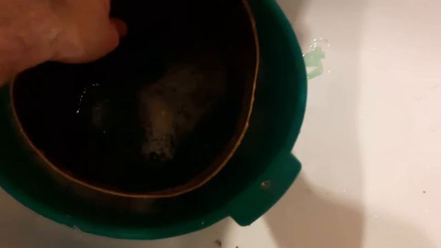 камус из нерпы на охотничьи лыжи смотреть онлайн