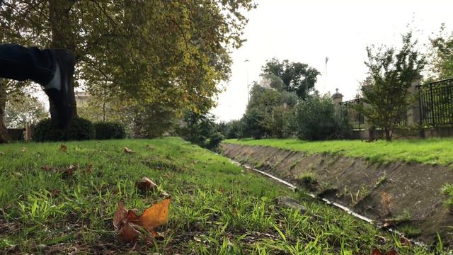 Касандра - Ара смотреть онлайн