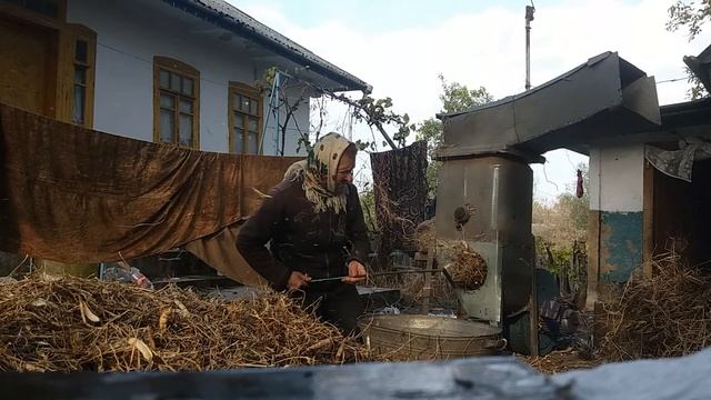 фасолечистка смотреть онлайн