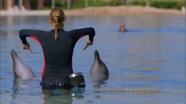 Добро пожаловать в Дубаи (Welcome to Dubai) aviakassa.net смотреть онлайн