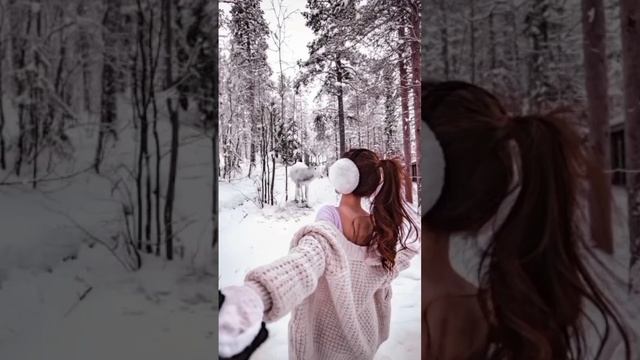 Казкова зима #зима #холодно #сказочная #красиво #картинки #пейзажи смотреть онлайн