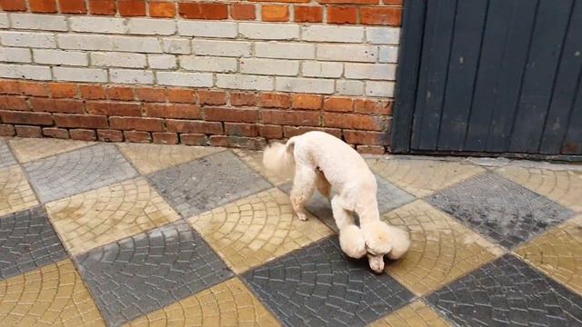 Мои будни,моя работа