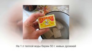 ЦВЕТЫ будут расти, как на ДРОЖЖАХ! ДРОЖЖЕВАЯ подкормка для комнатных растений