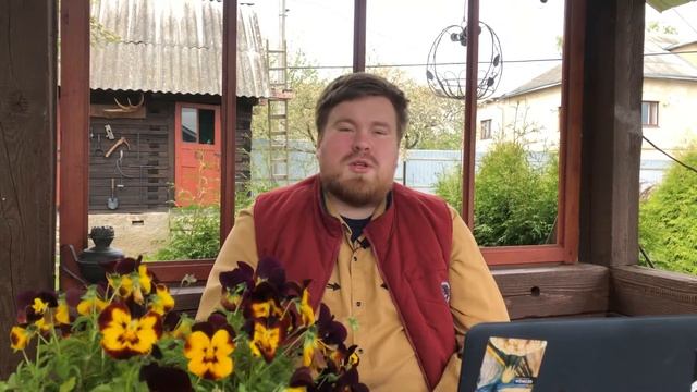 Ответы на вопросы. смотреть онлайн
