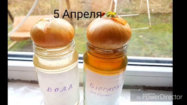 Биогловит,Хелатные удобрения Биогловит,Тест. смотреть онлайн