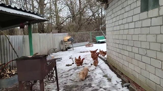 Собрали диваны. Начало ремонта в котельной. смотреть онлайн