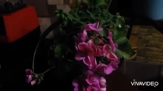 Капелька йода в воде........ смотреть онлайн