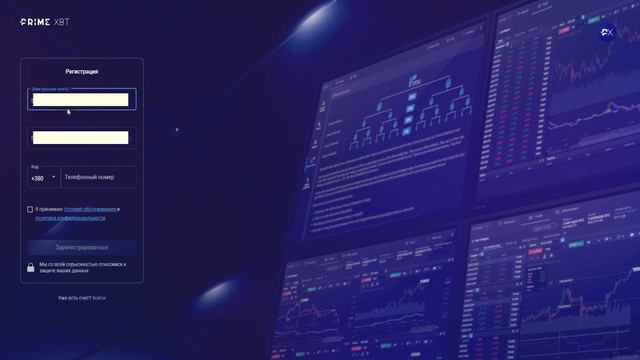 Prime XBT - обзор многофункциональной биржи смотреть онлайн