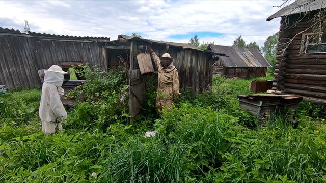 В огороде вышел РОЙ ПЧЁЛ! смотреть онлайн