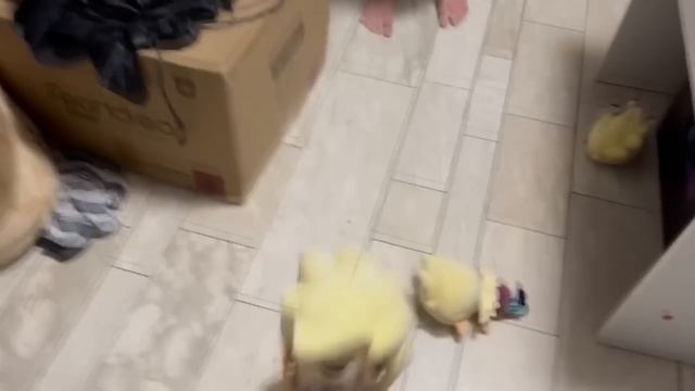 Don't turn me into marketable plushies AGAIN смотреть онлайн