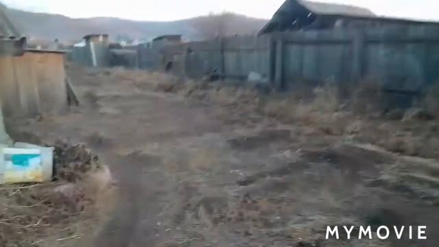 Нужно покрыть двух кролих / уточки-бегунки занеслись/ мускусы не несутся,а гуси завалили яйцом . смотреть онлайн