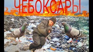 ЧЕБОКСАРЫ-ПОЗОР МИРА. Обзор на город Чебоксары. смотреть онлайн