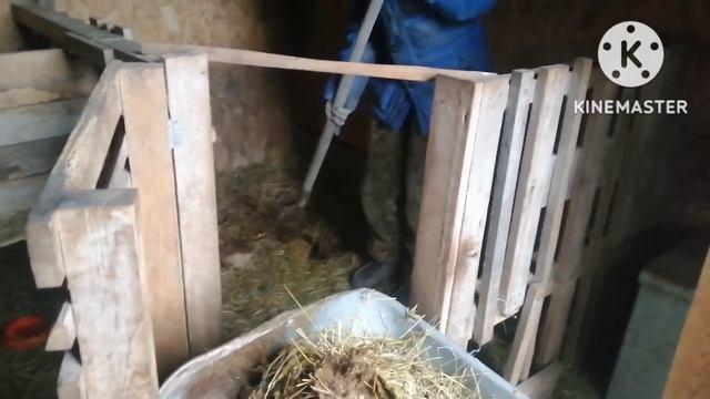 Готовлю. Пеку печенье. Чищу котёл. смотреть онлайн