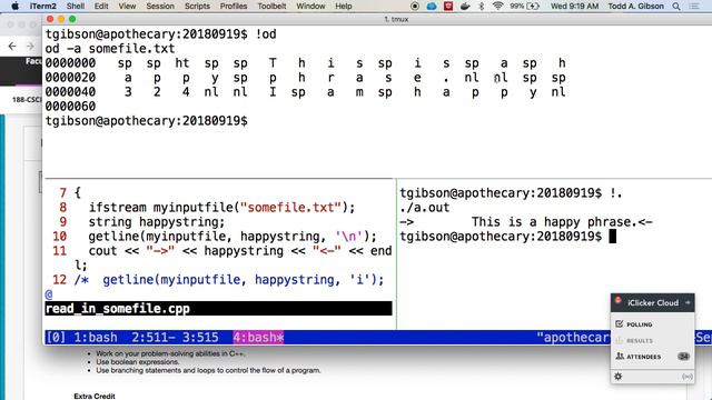 Solving skipped getline() statements using ignore() смотреть онлайн
