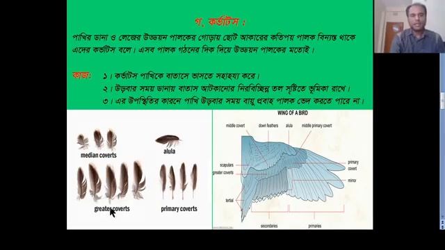 zoology class for honours 2nd year student's смотреть онлайн