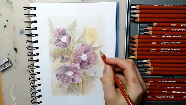 Christmas Roses Drawing with Derwent Drawing Pencils / Time-Lapse смотреть онлайн