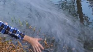 ✅Тест самых мощных ПЕТАРД под ВОДОЙ?