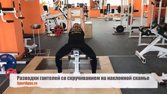 Разводки гантелей со скручиванием на наклонной скамье смотреть онлайн