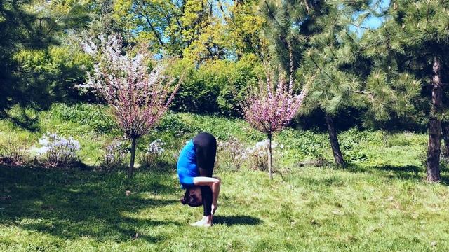 Shanti People - Surya Namaskar - Mantra | Asana 10 ( Om Savitre Namaha | Padahastasana ) EN|RU Sub смотреть онлайн