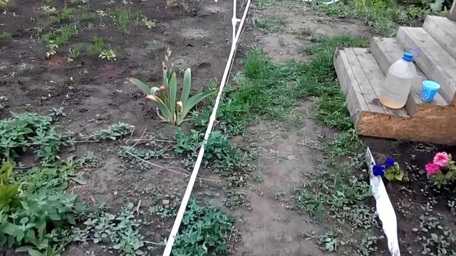 системы полива на дачном участке смотреть онлайн