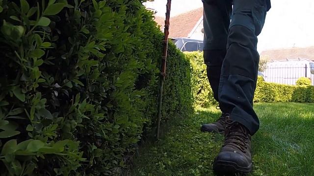 Hedge Trimming, Small Box / Buxus Hedge