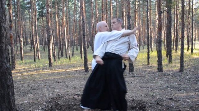 Подробное описание техники Ирими Нагэ в #Айкидо смотреть онлайн