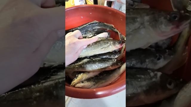 Феерия Вкусов