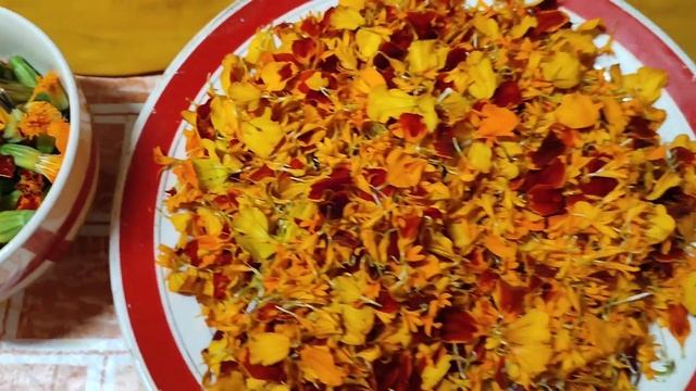 Бархатцы, тагетес, чернобривцы. Собираю и сушу для чая  #лайфхаки #полезныесоветы #чай