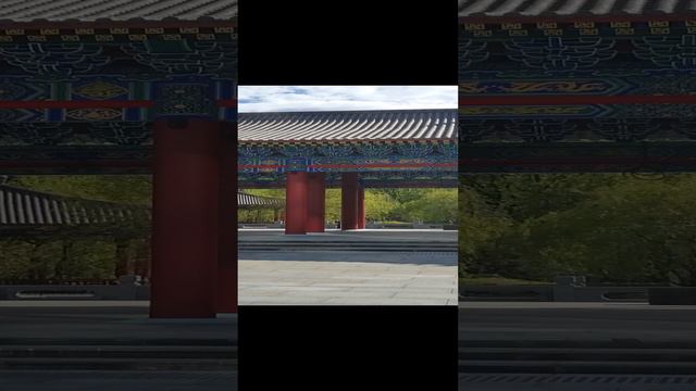 парк Хуамин смотреть онлайн