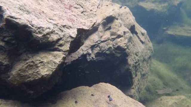 Olympus TG 320 смотреть онлайн