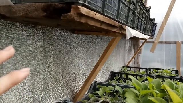 Теплица своими руками. смотреть онлайн