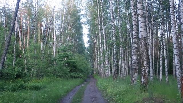 Чистотел на примере из жизни*исцеление смотреть онлайн