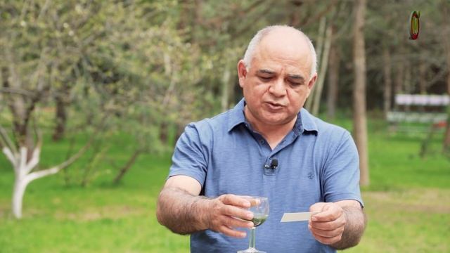 Лучший способ определить кислотность почвы. Как узнать кислотность земли. смотреть онлайн