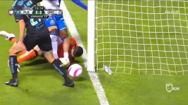 Tiago Volpi смотреть онлайн