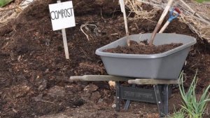 Подкормка яблонь весной