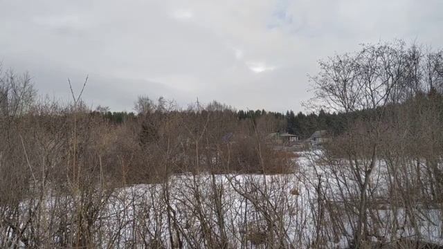 Покидает муравей муравейник... смотреть онлайн